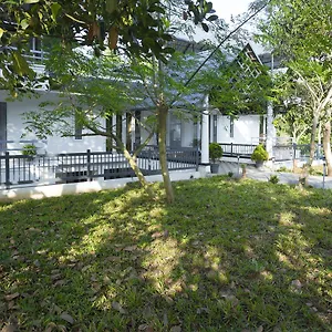 Resort Bamboo Creak